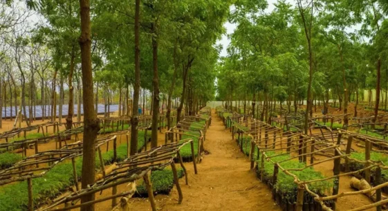Nursery-in-Kiambere-paneler
